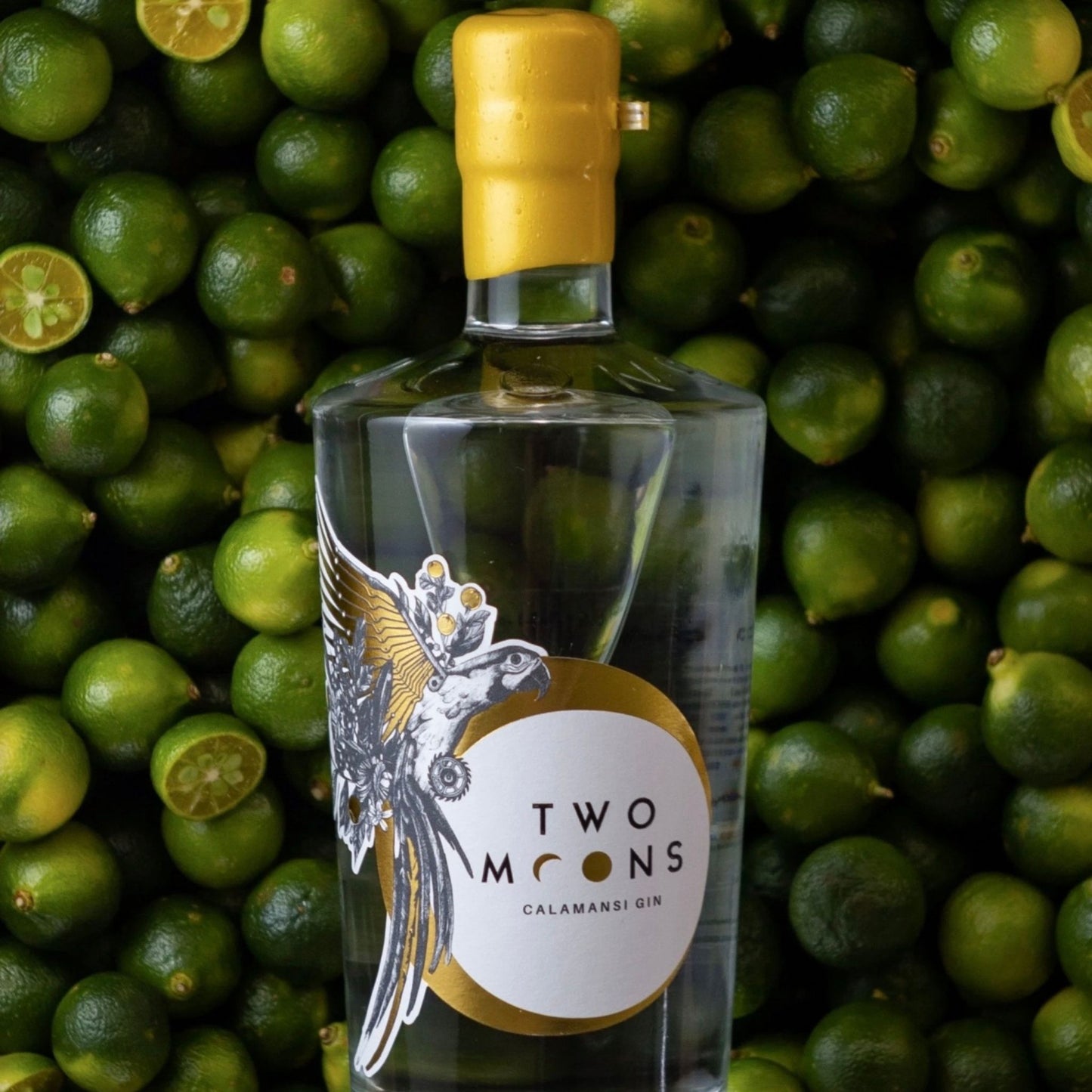 A bottle of Two Moons Calamansi Gin centered against a dense background of green calamansi limes, with a yellow cap and a label featuring a silver bird and gold accents.