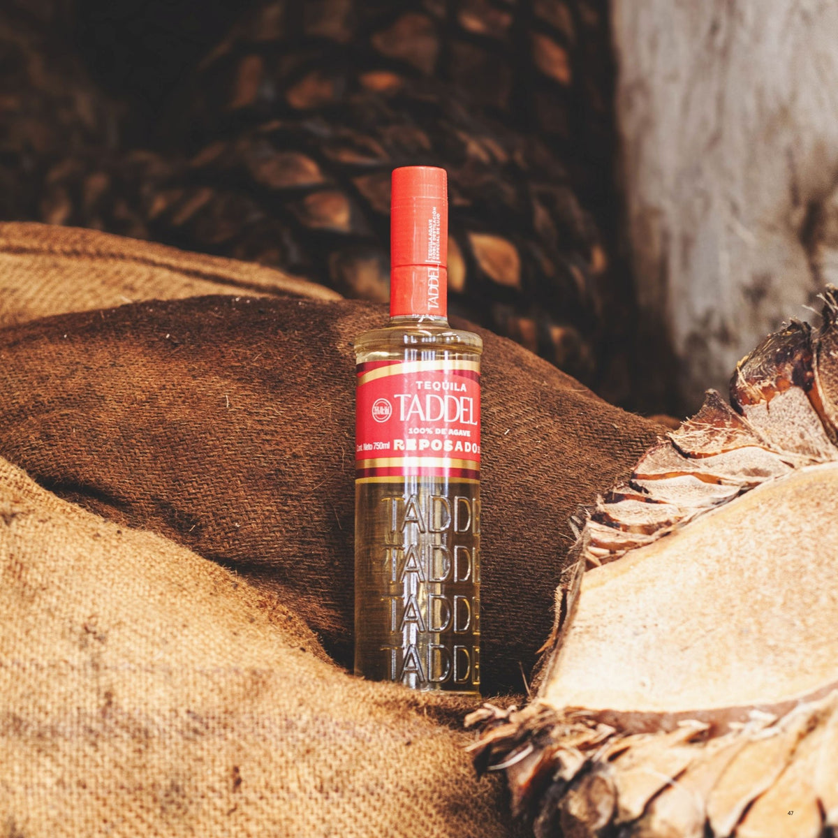 A bottle of Tadicco Tadicco Reserva tequila stands upright on a burlap surface, surrounded by rustic dried agave leaves and natural textures. The bottle has a red cap and a red-and-white label with vertical 'TADDEL' lettering.