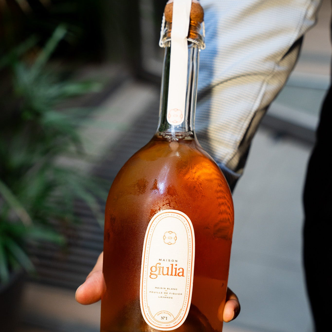 Bottle of Maison Giulia and label